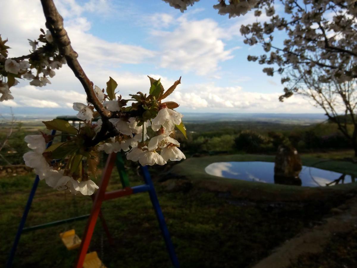 Mirador Los Cotos Torremenga エクステリア 写真