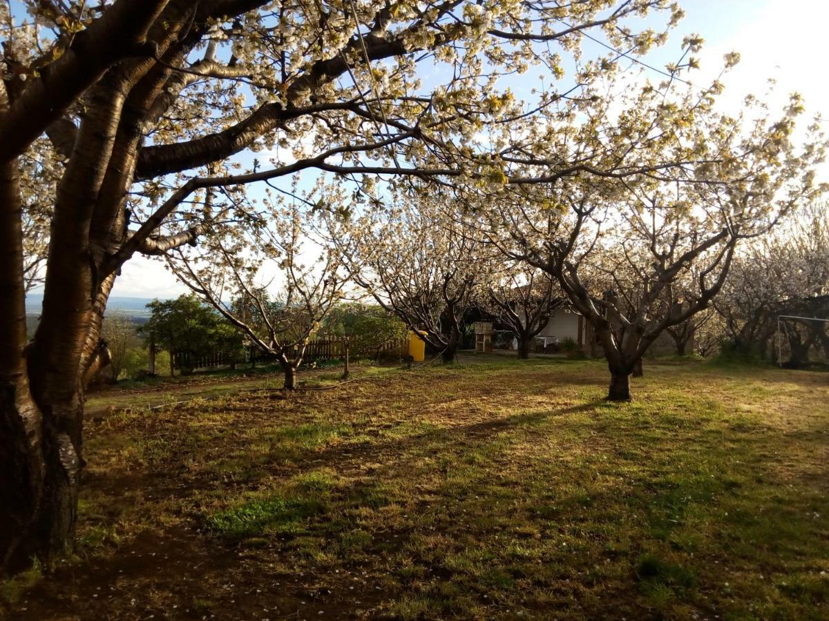 Mirador Los Cotos Torremenga エクステリア 写真